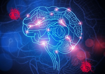 8种健脑体例