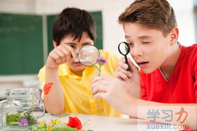 进修乐趣是进修力最好的品德