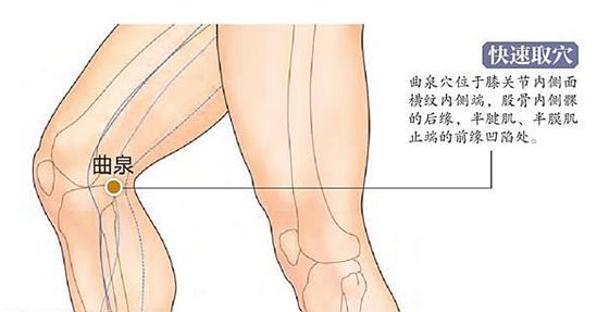 为甚么蹲久了腿会麻,腿麻是怎样回事