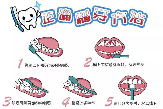 报酬甚么要刷牙,刷牙的准确方式