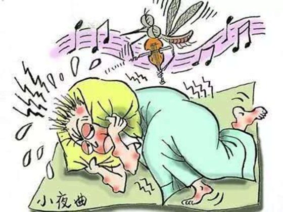 报酬甚么会感受痒,为甚么痒的时辰要挠