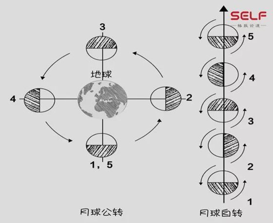 为甚么咱们只能看到月球的一面,月球的反面是甚么