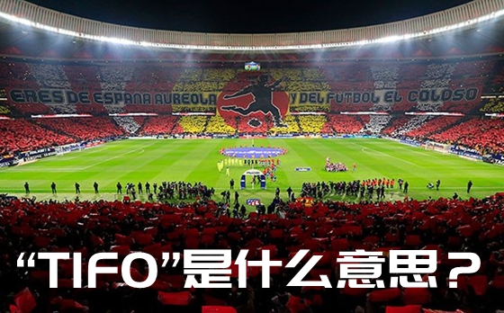 TIFO是甚么意义,tifo怎样读,tifo为甚么只用一次