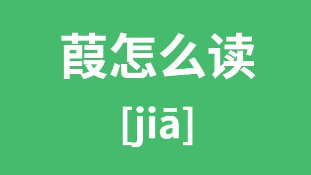 葭怎样读