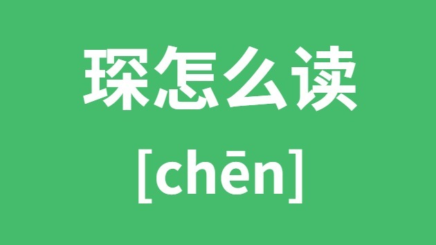 琛怎样读