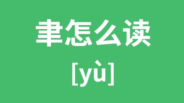 聿怎样读