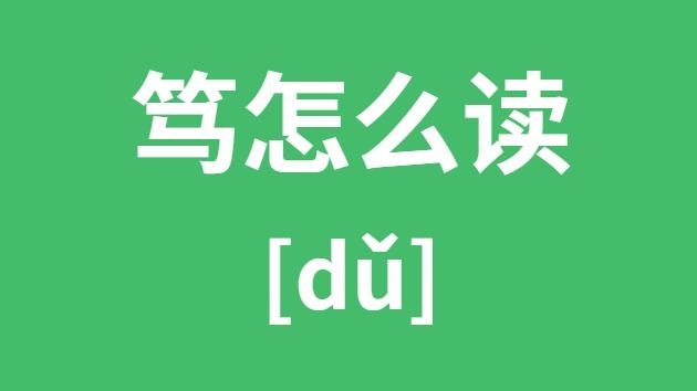 笃怎样读