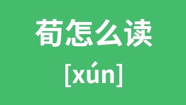 荀怎样读
