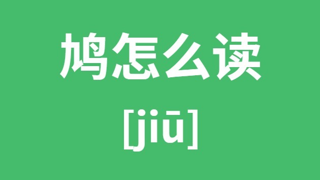 鸠怎样读