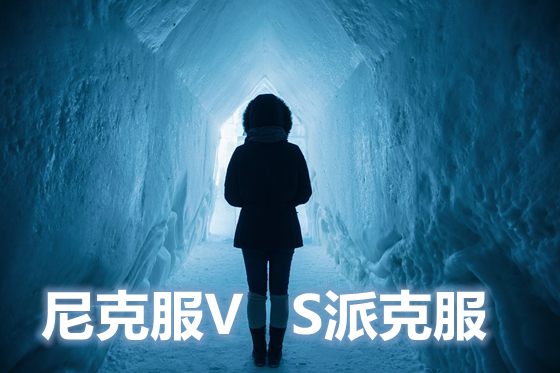 甚么是尼降服和派降服,尼降服和派降服区分,派降服和尼降服哪一个好,为甚么尼降服这么贵