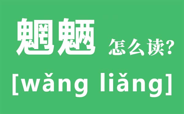 魍魉怎样读,魍魉是甚么意义,魑魅魍魉是哪四种魔鬼