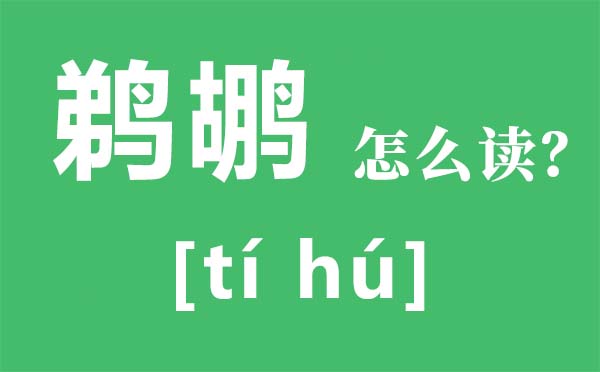 鹈鹕怎样读,鹈鹕是甚么鸟,鹈鹕和鸬鹚的辨别