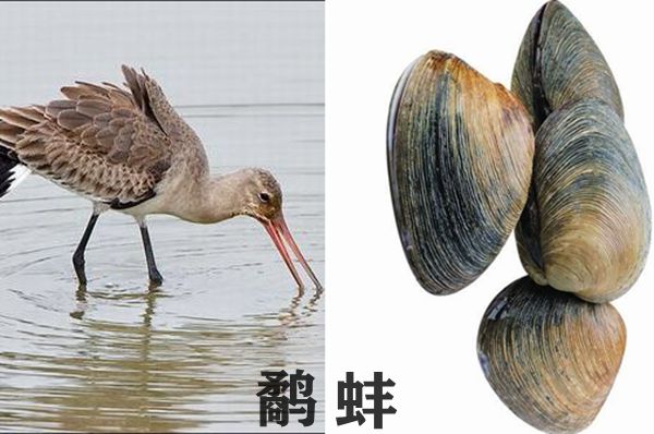 鹬蚌相争怎样读,鹬蚌相争的拼音