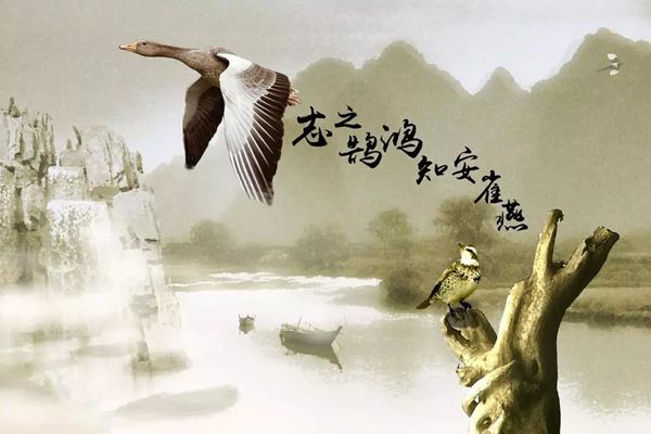 鸿鹄怎样读,鸿鹄的意义,无所作为是甚么意义