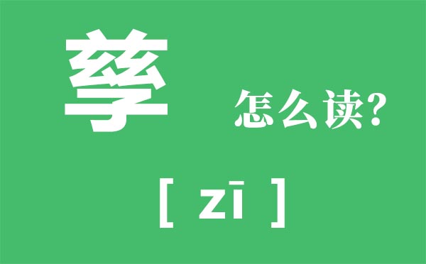 孳怎样读,上面兹上面子念甚么,孳是甚么意义