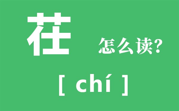 茌怎样读,草字头加仕念甚么,茌是甚么意义