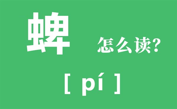 蜱怎样读_蜱虫是甚么_蜱是甚么意义？