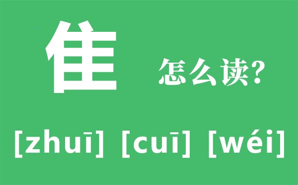 隹怎样读,隹的拼音,隹字是甚么意义