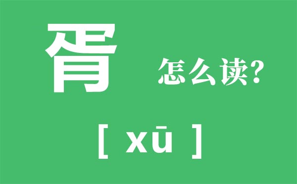 胥怎样读,胥的拼音,胥有甚么寄义