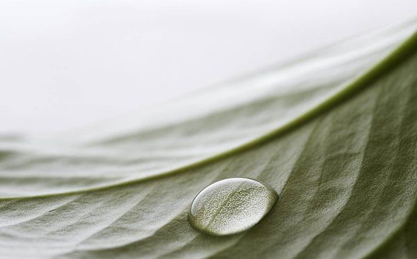 察看水的外表