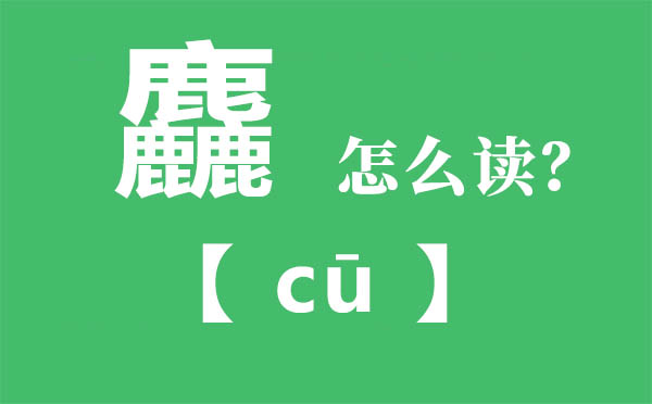 麤怎样读,三个鹿念甚么,麤的拼音,麤字是甚么意义