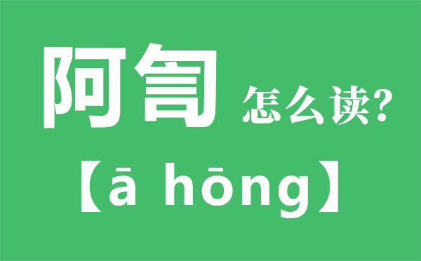 阿訇怎样读,阿訇的拼音,阿訇是甚么意义