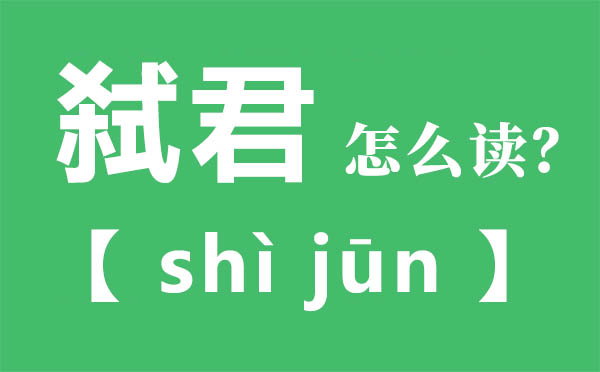 弑君怎样读,弑君的拼音,弑君是甚么意义