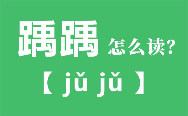 踽踽怎样读,踽踽的拼音,踽踽是甚么意义