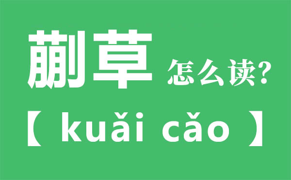 蒯草怎样读,蒯草的拼音,蒯草是甚么意义