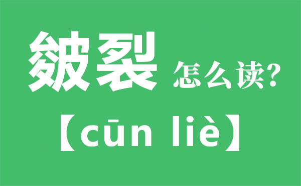 皴裂怎样读,皴裂的拼音,皴裂是甚么意义