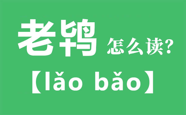 老鸨怎样读,老鸨的拼音,老鸨是甚么意义
