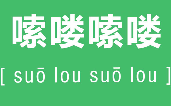 嗦喽嗦喽是甚么意义,嗦喽嗦喽如何读,西南话嗦喽嗦喽的诠释