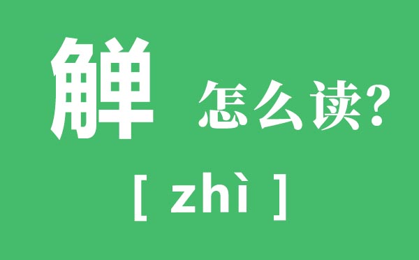 觯怎样读,觯的拼音是甚么,觯字的读音和寄义