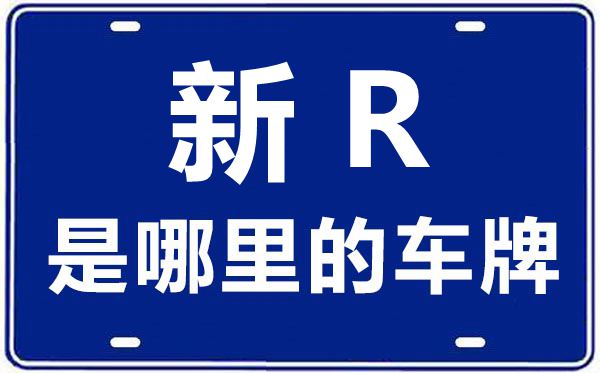 新R是那里的车商标,和田的车商标是新甚么