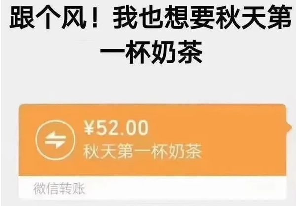 我想要秋季的第一杯奶茶是甚么意义,秋季的第一杯奶茶是甚么梗