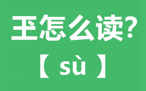 玊怎样读,玊念甚么,玊字的拼音,玊字是甚么意义