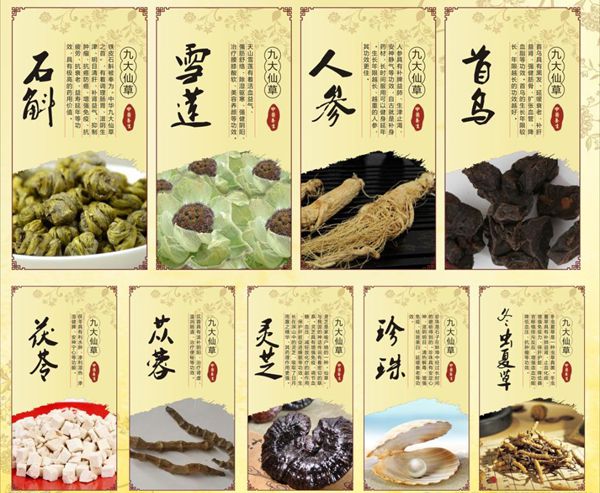 为甚么石斛排名九大仙草之首,石斛的功能与感化