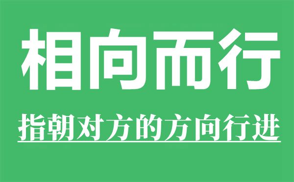 相向而行是甚么意义,相向而行的反义词是甚么