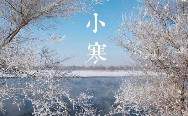 蚂蚁庄园“寒潮橙色预警是甚么品级