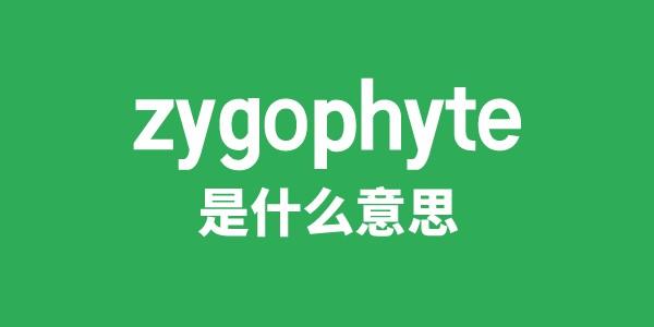 zygophyte是甚么意义