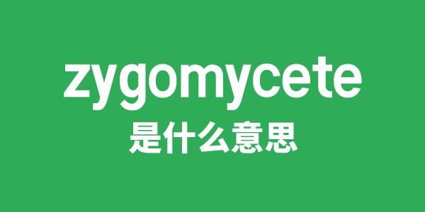 zygomycete是甚么意义
