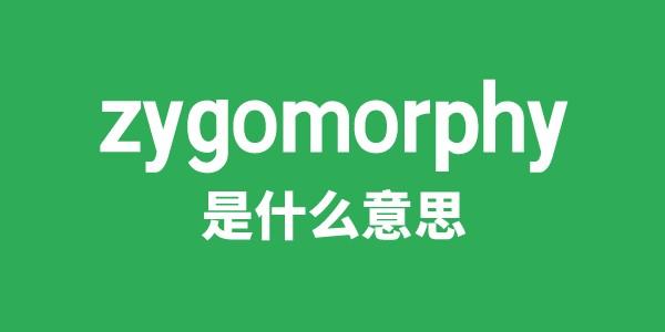 zygomorphy是甚么意义