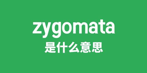 zygomata是甚么意义