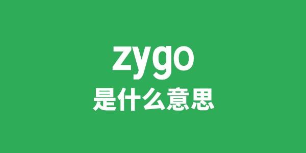 zygo是甚么意义