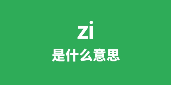 zi是甚么意义