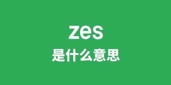 zes是甚么意义