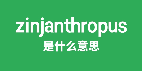 zinjanthropus是甚么意义