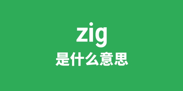 zig是甚么意义