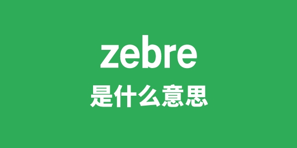 zebre是甚么意义
