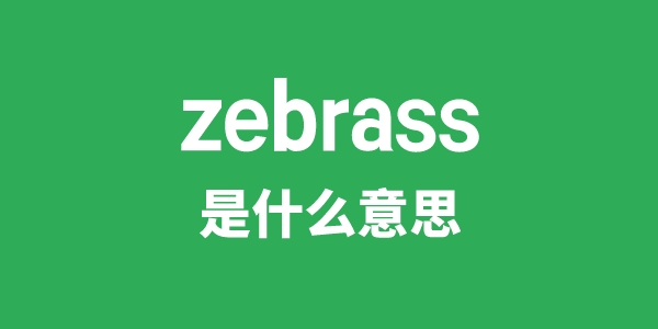 zebrass是甚么意义